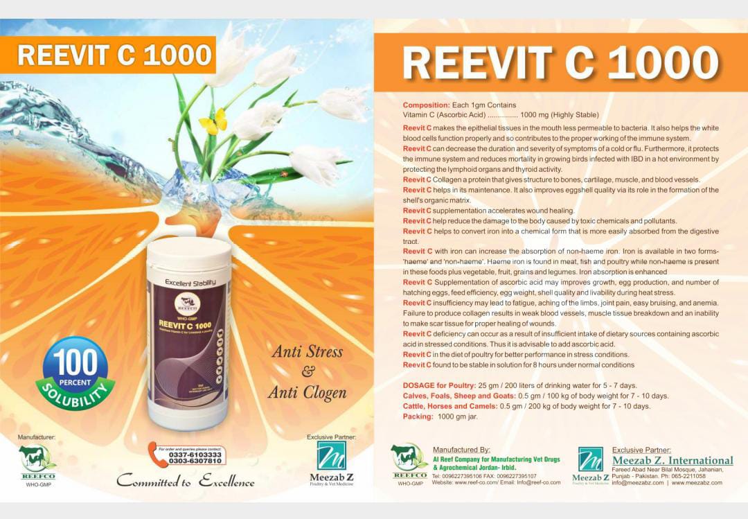 REEVIT C 1000 