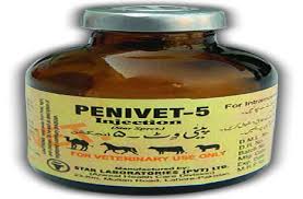 penvac 5gm injection