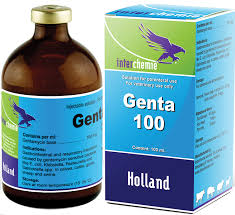 Gentyl+C inj 100 ml
