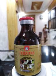 Fluxifas Inj 10 ml