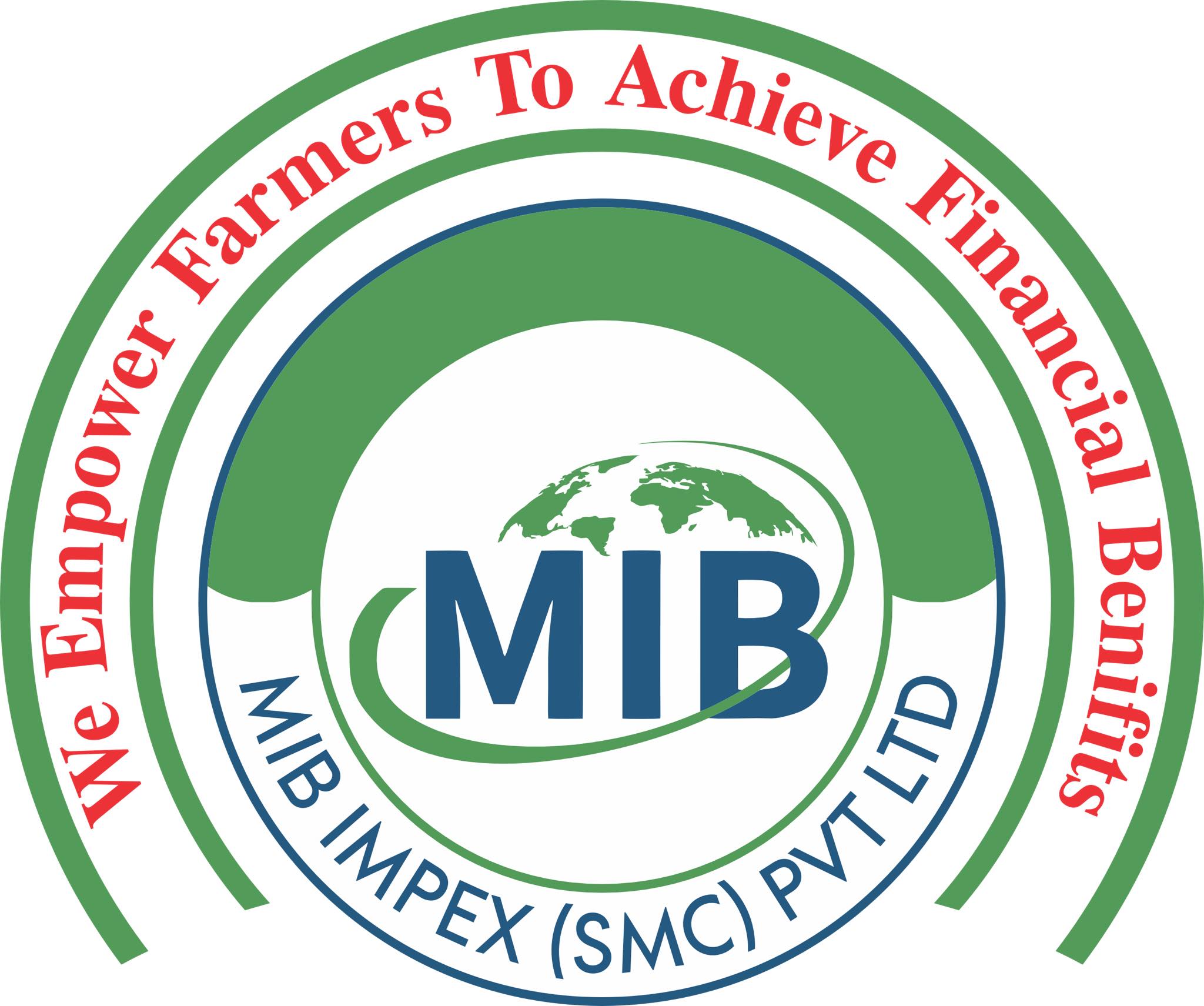 MIB IMPEX PVT LTD