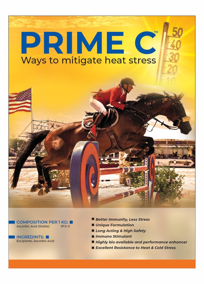 Prime C