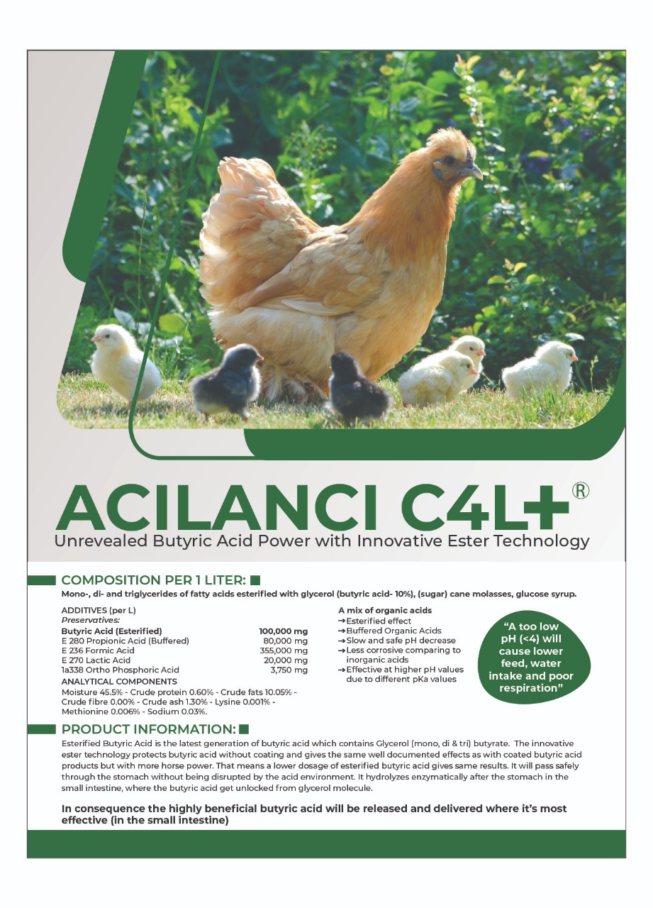 Acilanci C4L+