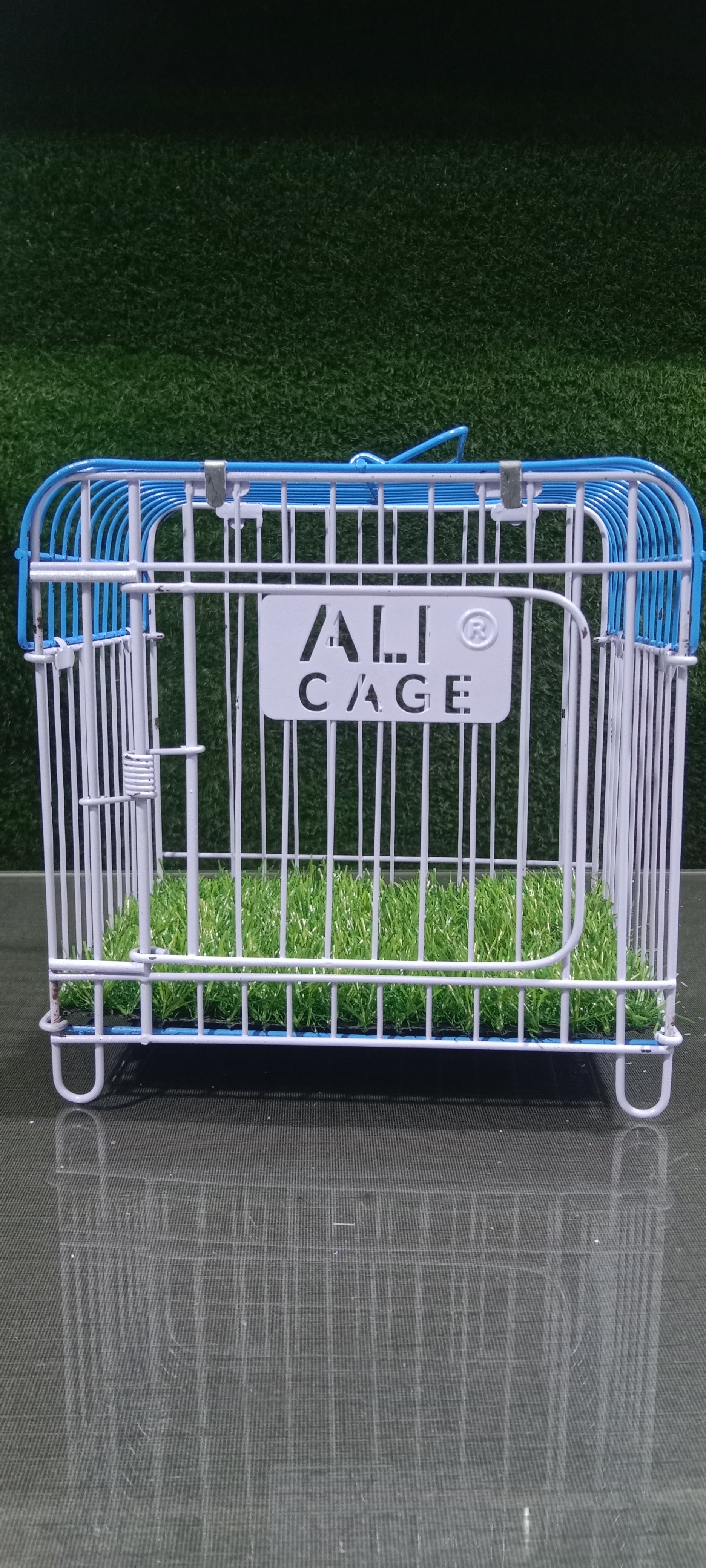 ALI Cage