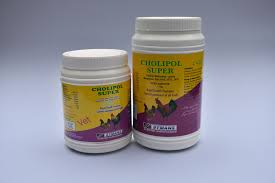 CHOLIPOL SUPER POWDER 500 GRAM