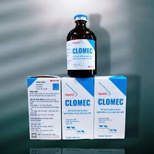 Clomec 10ml Injection
