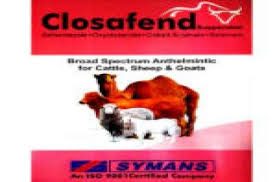 Closafend ΘêÑ∩┐╜Drench 100 ml