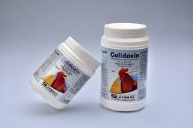 Colidoxin WSP Powder 1 KG