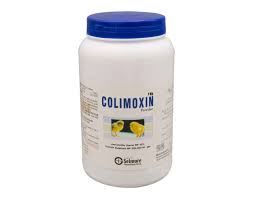 Colidoxin WSP Powder 500 gm