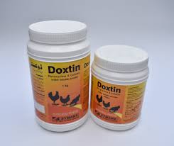 Doxtin Powder 500 gram
