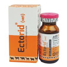 Ectorid Solution 100 ml