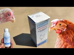 Enrosym Liquid - 30ml