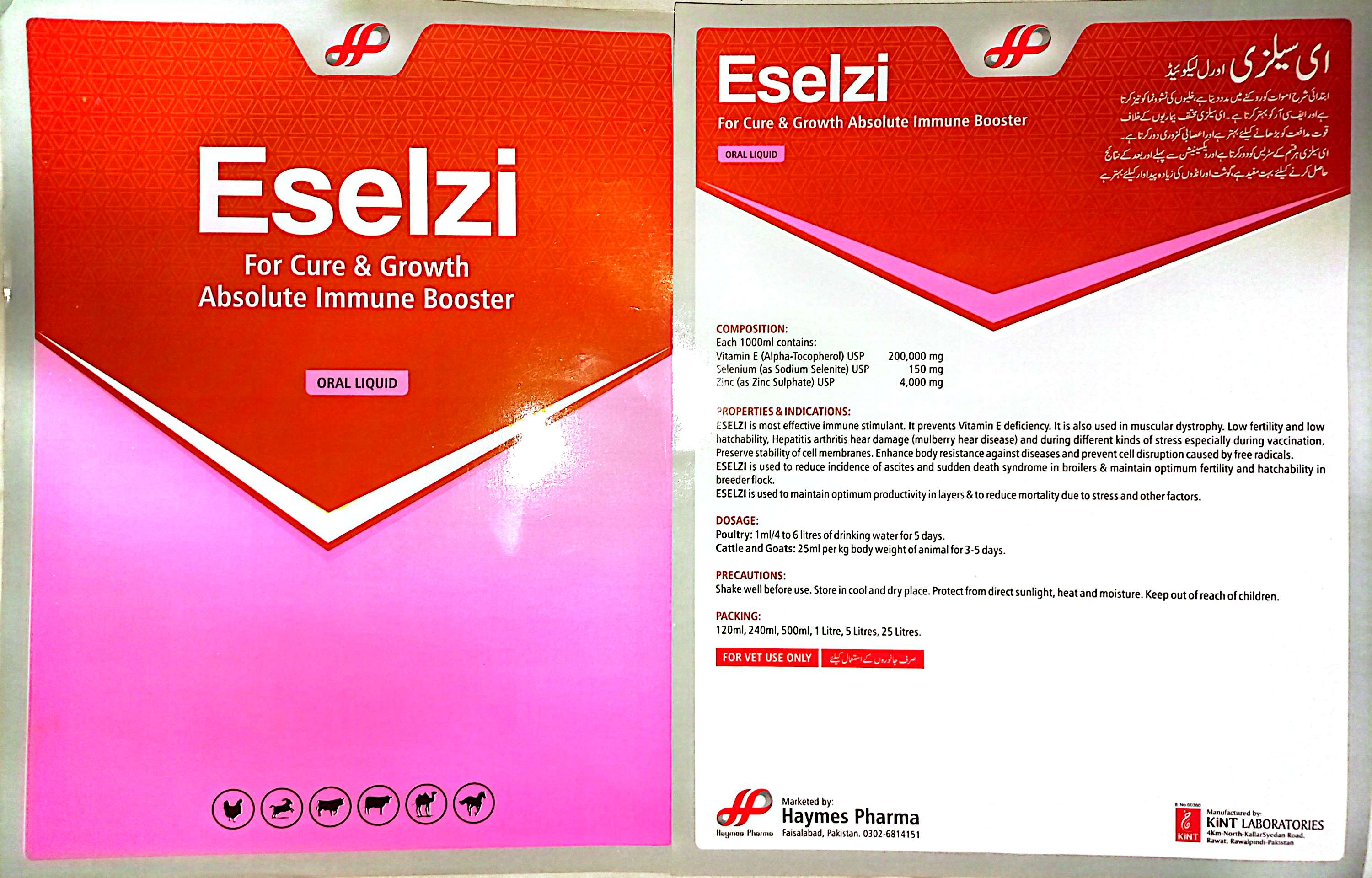Eselzi