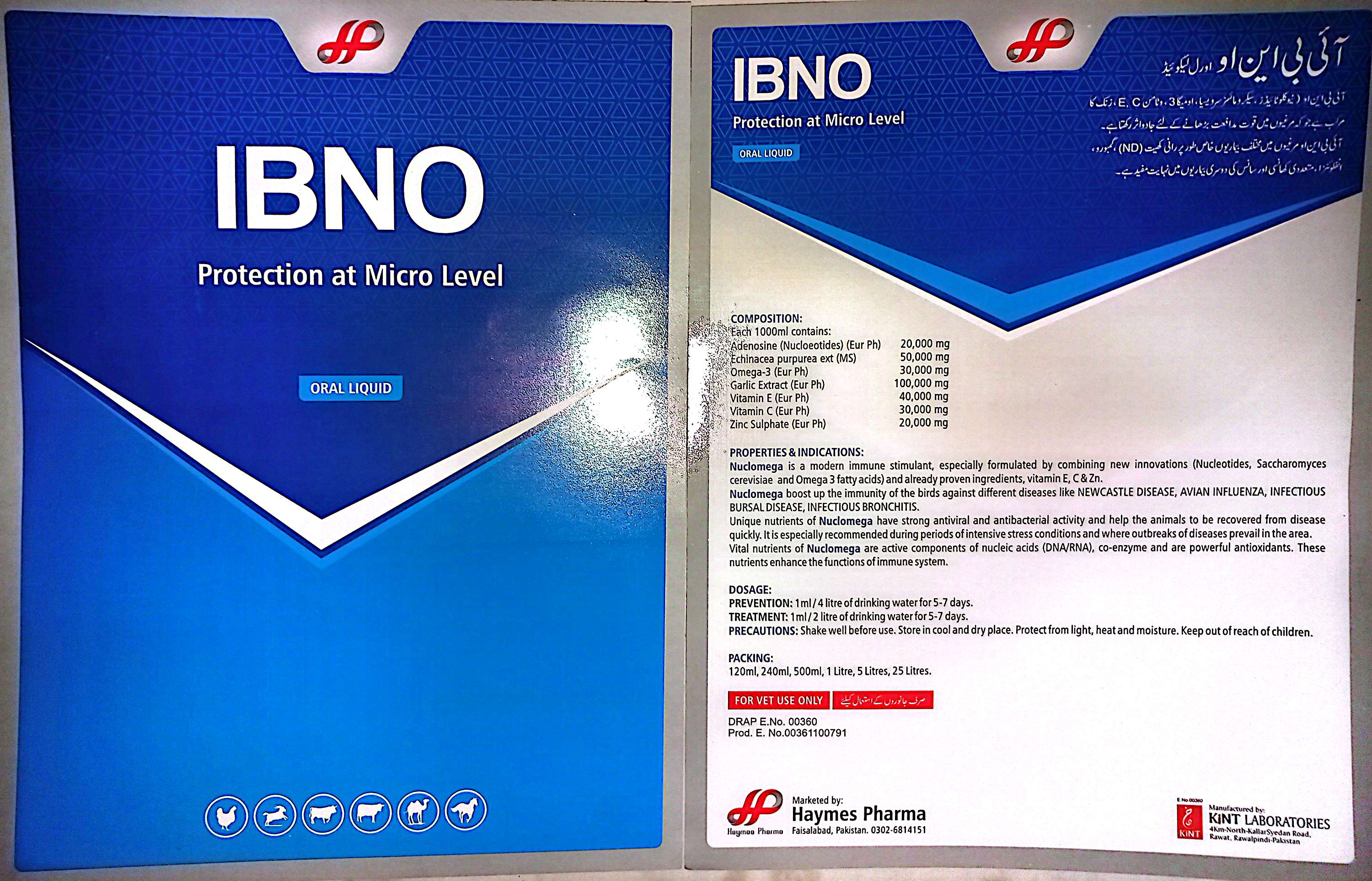 IBNO
