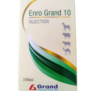 ENRO GRAND10