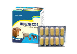 Niclosym Bolus 1250 mg