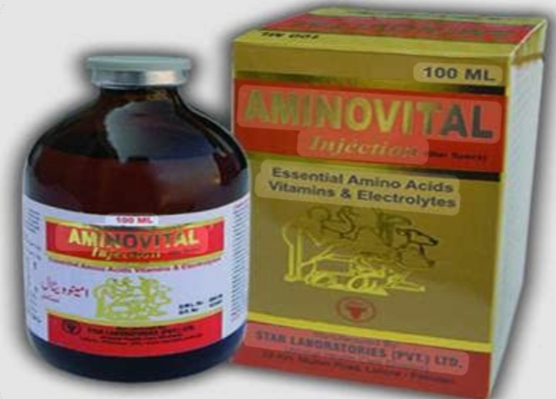 Aminovital Injection 