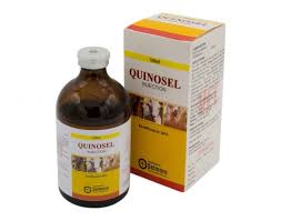 Quinosel injection 100 ml