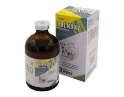 Phenoxy-m 50ml