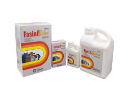 Fasinil Plus 100ml