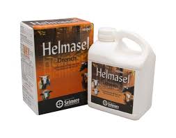 Helmasel