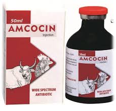 Amcocin 100 ml