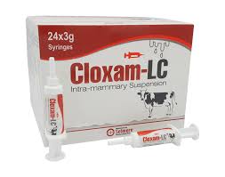 Cloxam LC Intra-mammary