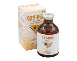 Oxy-PVP