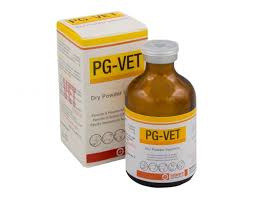 PG-Vet