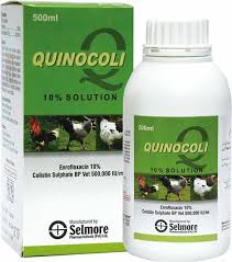 Quinocoli