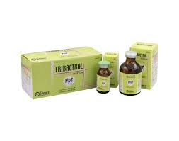 Tribactral Injection - 50ml