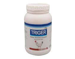 Triger Oral Dry Powder