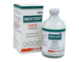 Amoxygent 100 ml