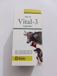 Vital-3