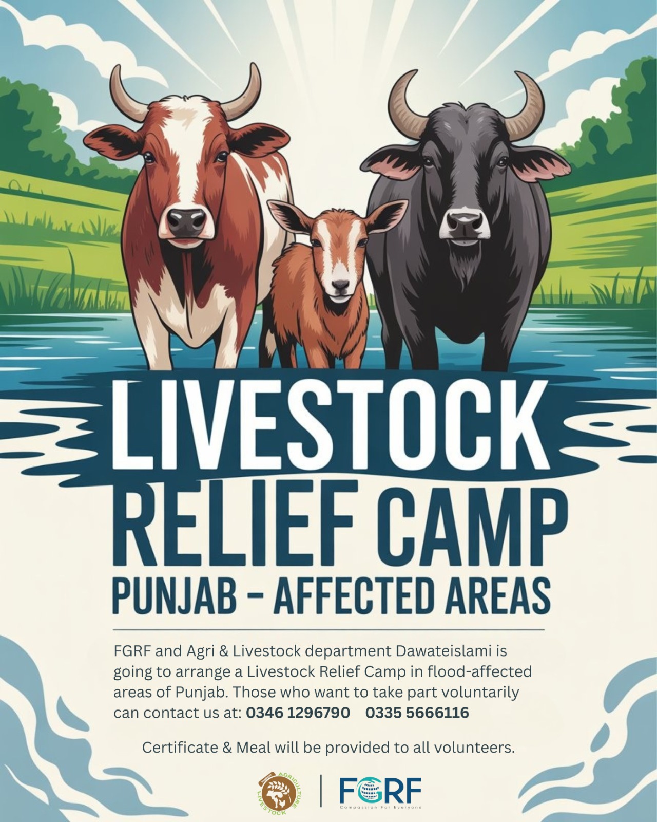 FGRF & Agri-Livestock Department Dawat-e-Islami Launch Livestock Relief Camps in Flood-Affected Punjab – Volunteers Welcome!