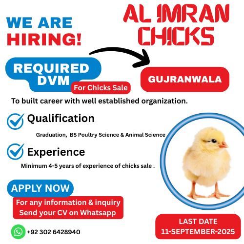 WE ARE HIRING! AL IMRAN CHICKS