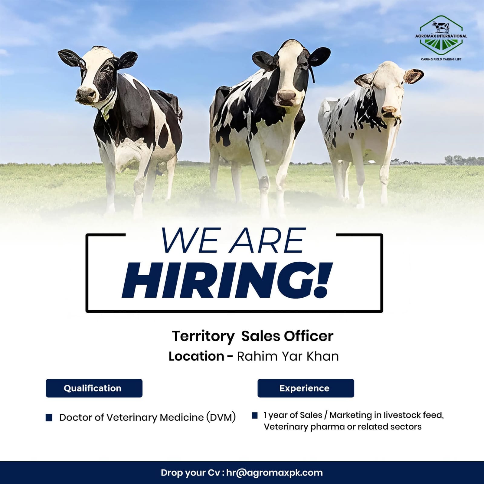 WE ARE HIRING!  Territory Sales Officer Location – Rahim Yar Khan