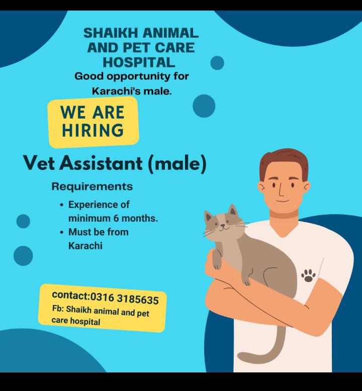 We Are Hiring – Vet Assistant (Male) | Shaikh Animal and Pet Care Hospital Karachi