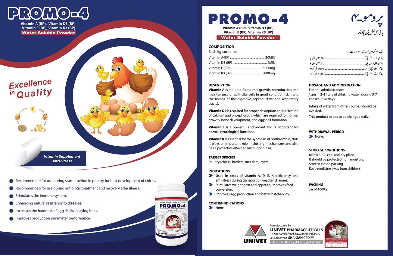 PROMO-4