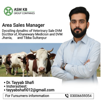 Area Sales Manager