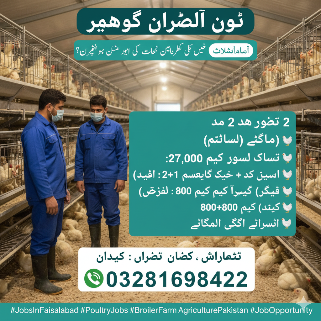 ورکرز کی ضرورت ہے – فیصل آباد (ڈبل بریلر شیڈ)