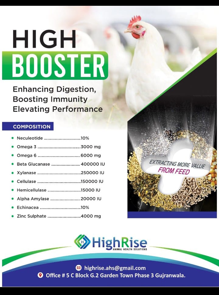 HIGH  BOOSTER