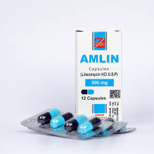 AMLIN-E