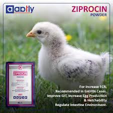 ZIPROCIN