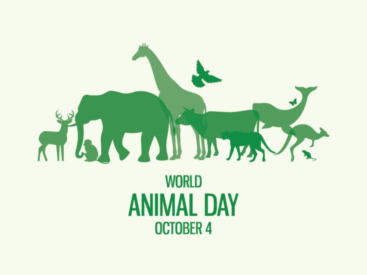 Celebrating World Animal Day – October 4