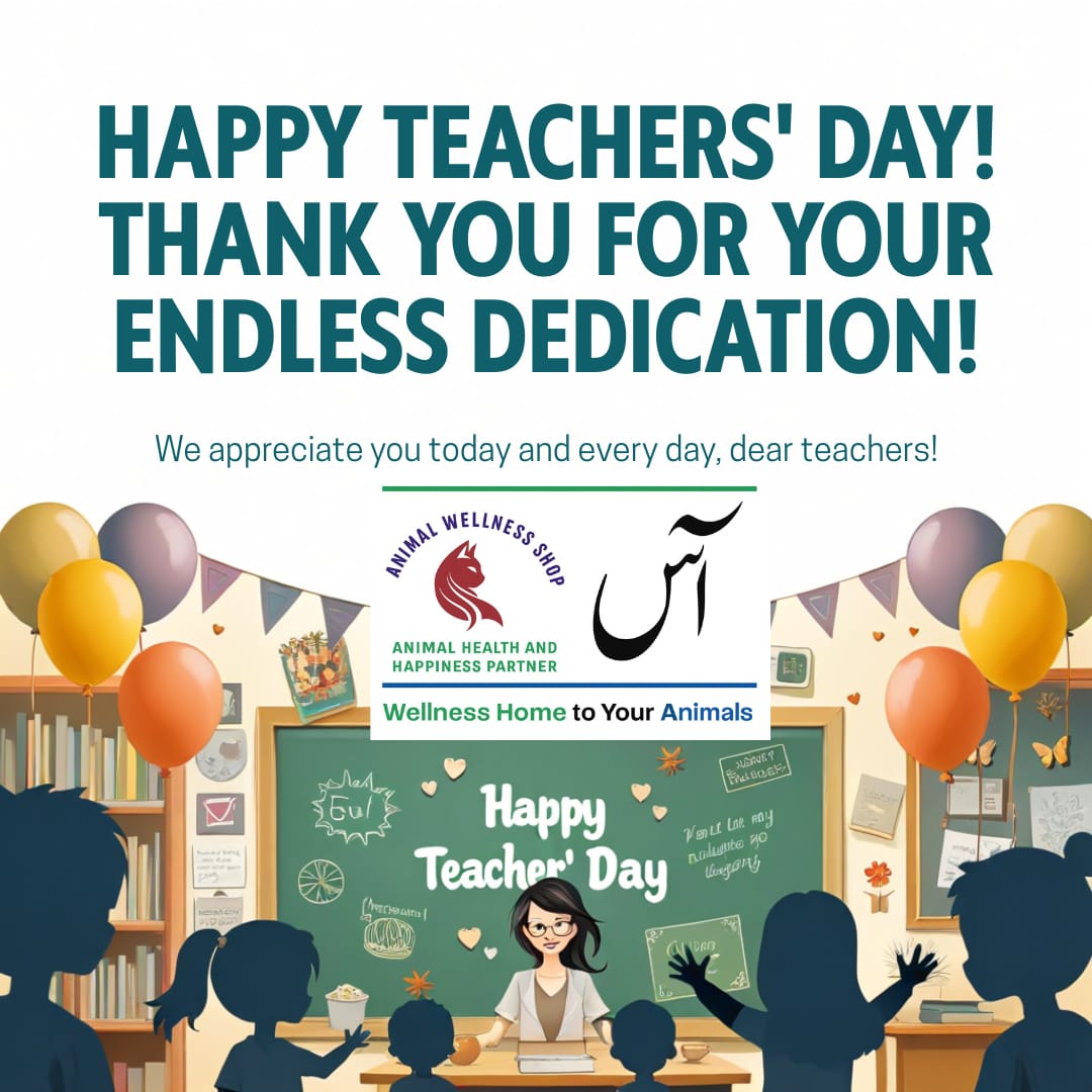Celebrating Teachers’ Day – Honoring Those Who Inspire Minds and Shape Futures 🎓