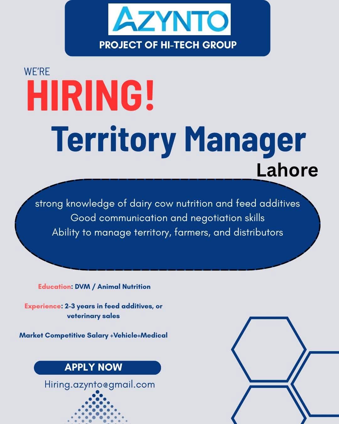 Territory Manager position at AZYNTO (a project of Hi-Tech Group).