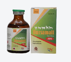 Bursamall