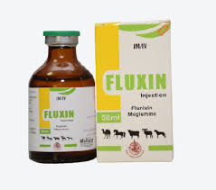 Fluxin
