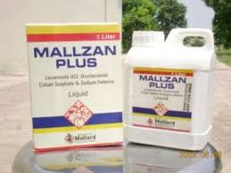 Mallzan Plus